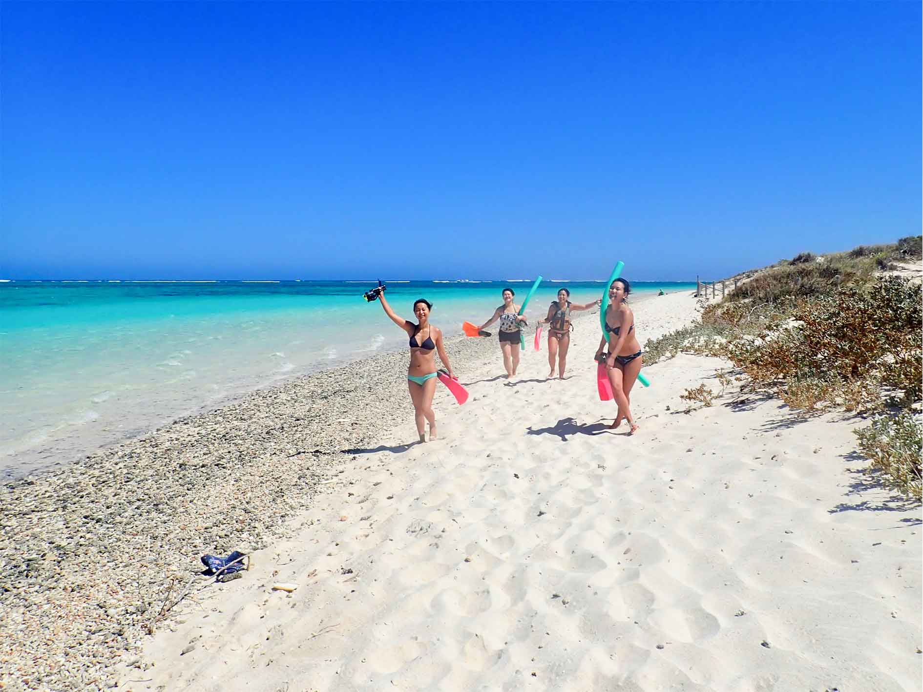 Group of snorkellers in turquoise water, ready for amazing snorkelling experience on Turquoise Bay Snorkel Tour, Ningaloo Reef, Exmouth, Western Australia