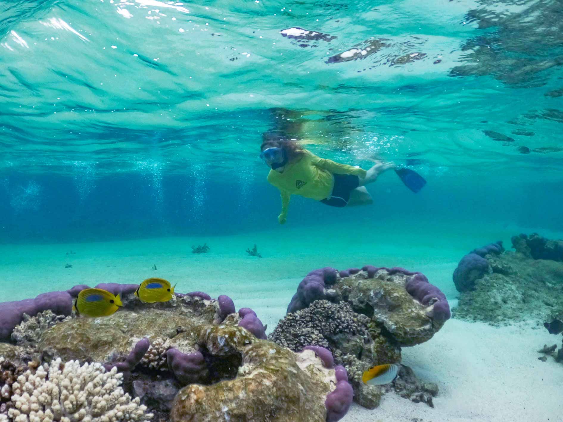 Lady snorkelling over coral in shallow water on Coral by Kayak tour