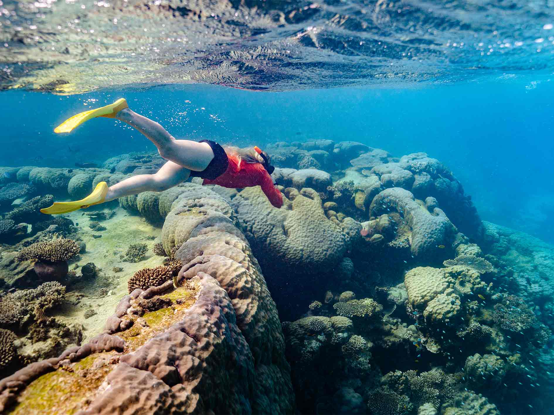 Lady snorkelling underwater with beautiful corals